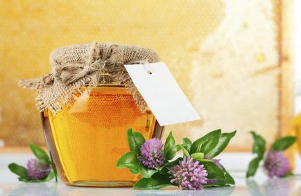 Конюшиновий мед корисні властивості і склад продукту