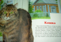 Книги про котів і кішок, книга, мама, тато, я