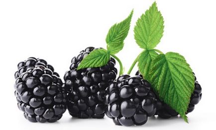 Blackberry păstrează gem de mure, gem de mure, compot de mure, frumusețe