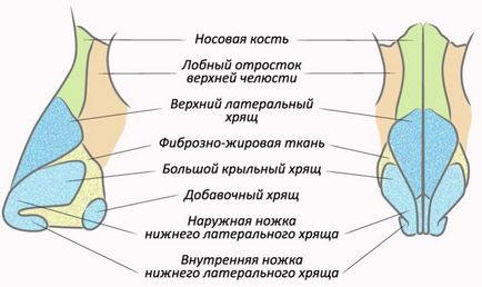 Кісткова мозоль після ринопластики на носа, перенісся як прибрати, якщо не розсмоктується сама