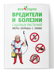 Купити розсаду томата красавчик в москві з доставкою поштою по всій росії - інтернет-магазин все