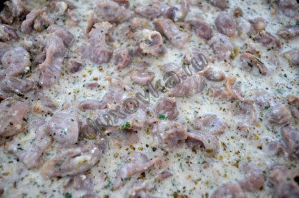 Kamrák csirke tejszínes mártásban - recept lépésről lépésre képek (csirke zúza pörkölt tejföl) Kamrák csirke tejszínes mártásban - recept lépésről lépésre fotók
