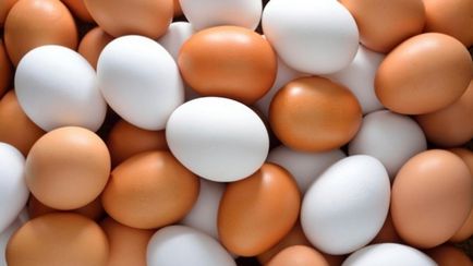 Csirke tojás sokkos 11 főzés titkait blog