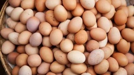 Курка в шоці 11 секретів приготування яєць, блог