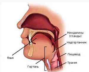 Tratamentul pentru angină pectorală - boli alergice - un catalog de articole - rețete medicinale populare