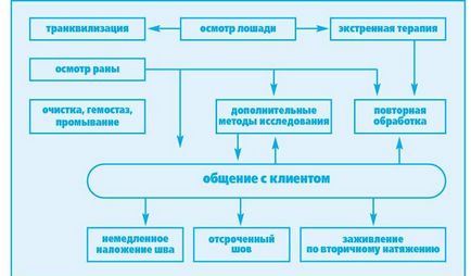 Лікування ран у коней