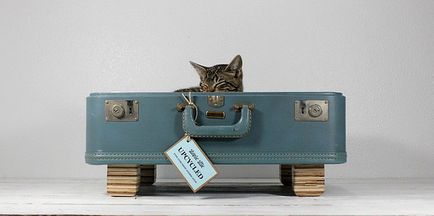 Лежанка для кішки своїми руками з старого валізи