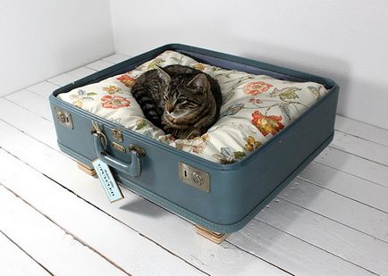 Ágyak macskáknak kezüket egy régi bőrönd