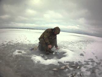 Улавянето зимата платика