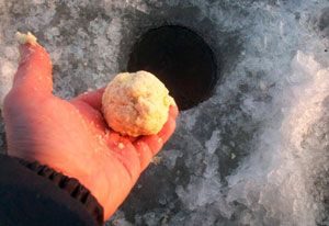 Catching csótány tél - Javaslatok kezdőknek