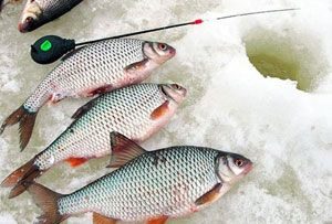 Rochie de pescuit în timpul iernii - recomandări pentru începători