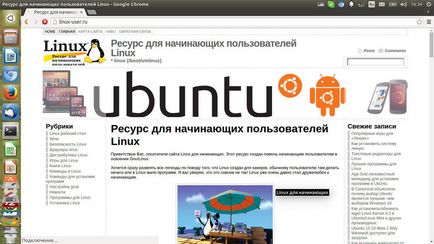 Cel mai bun browser pentru linux