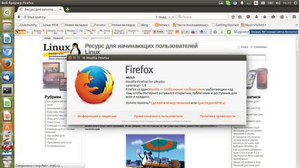 Cel mai bun browser pentru linux