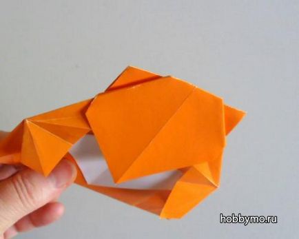 Maestru de origami animale de clasă