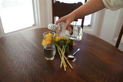 Mengyelejev pihen a testvére megtanulták használni vodka, magmens (vodka) Mengyelejev pihen a testvére megtanulták használni vodka, magmens