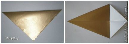Mark shell origami, ország művészek