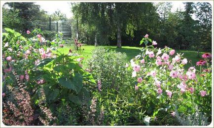 Monokróm virágágyások A Study in Pink, tereprendezés kertek és telkek