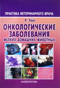 Shilajit tisztítjuk (Veterinary) múmia finomítva