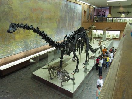 музей динозаврів