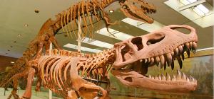 Музей динозаврів в москві