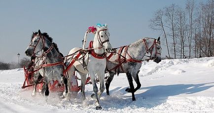 Наводимо порядок або як розкласти своє життя по поличках