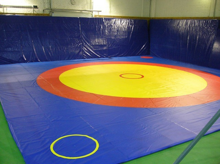 Echipamente pentru wrestling, covor de lupte, tatami, budomate, dodings, manechine pentru lupte