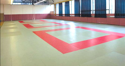 Echipamente pentru wrestling, covor de lupte, tatami, budomate, dodings, manechine pentru lupte