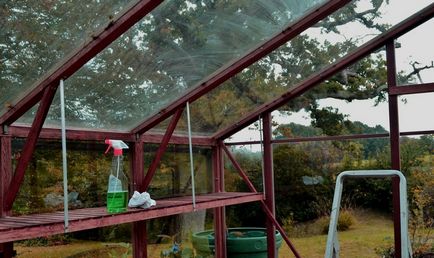 üvegházak betakarítás utáni feldolgozás az ősszel, mint mosni polikarbonát felkészülés télen