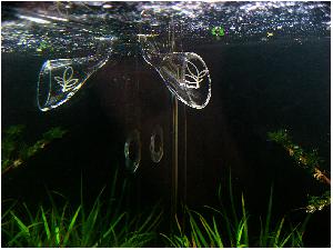Огляд зовнішнього фільтра для міні акваріумів, resun cy-20
