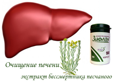 Tisztítása a szervezet és a bőr (Ginkgo biloba) Tisztító a test és a bőr