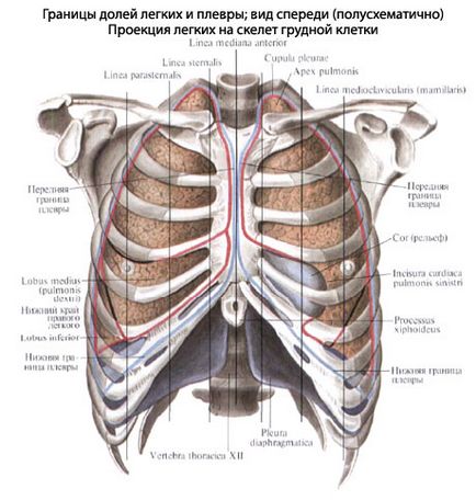 Insuficiență respiratorie, senzație de lipsă de aer