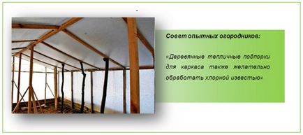 Осінні роботи в теплиці секрети бувалих дачників-городників