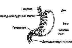 Гострий біль в шлунку