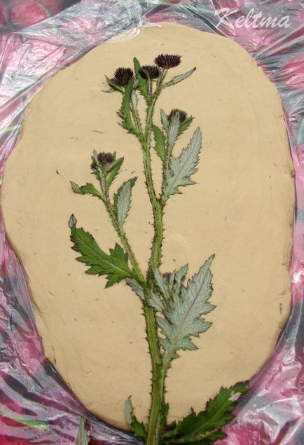 Виливок рослин з гіпсу по пластиліну - ярмарок майстрів - ручна робота, handmade