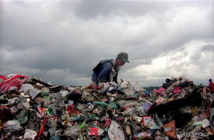 Deșeurile din activitatea economică umană ca o problemă de mediu