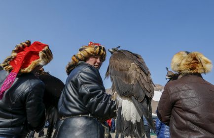 Полювання з беркутом особливості, фото, відео-свій будиночок в селі