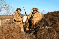 Saiga de vânătoare Saiga