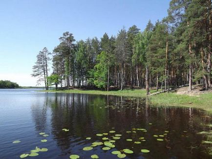 Lakes Nizhegorodskaya régió (luvox) Tó a Nyizsnyij Novgorod régióban