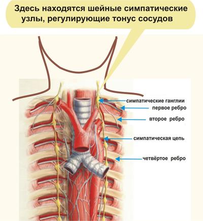 Obezitatea și sistemul cardiovascular