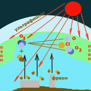 Stratul de ozon al atmosferei, ozonizatoare, eczon