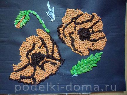 Панно маки (флоромозаїки з насіння), коробочка ідей і майстер-класів