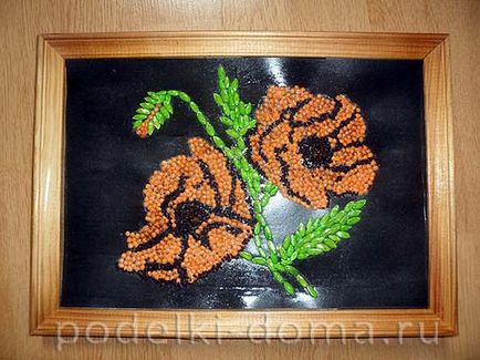 Panoul de mac (floromozaic din semințe), o cutie de idei și clase de master