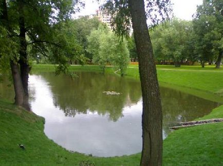 Park Vorontsov tavak