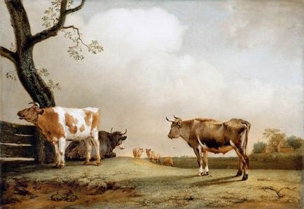 Paulus Potter holland művész XVII