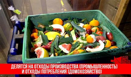 Norme de bază privind deșeurile alimentare și metode de eliminare