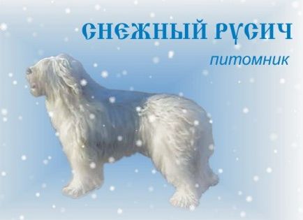 Canini de câini, portalul de la Nizhni Novgorod cu evenimente canine - partea a 2-a