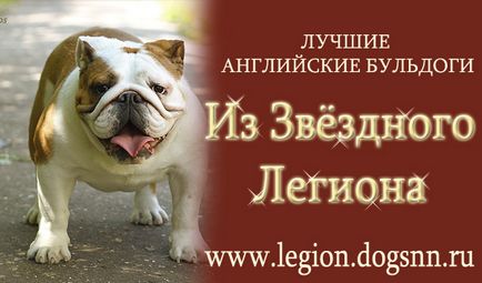 Canini de câini, portalul de la Nizhni Novgorod cu evenimente canine - partea a 2-a