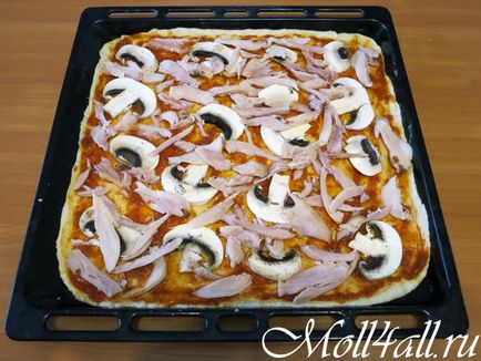 Pizza csirkével és gombával, egy recept egy fotó