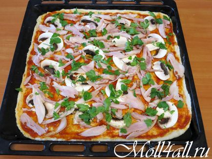 Pizza csirkével és gombával, egy recept egy fotó