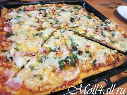 Pizza csirkével és gombával, egy recept egy fotó